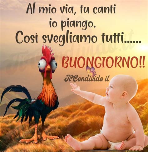 immagini buongiorno divertenti